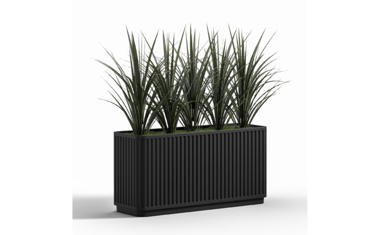 Wide Leaf Grass Bush