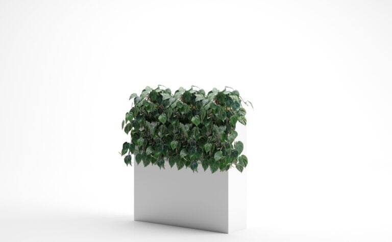 Philodendron Leaf Bush