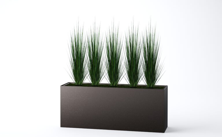 Onion Grass